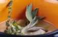 ver recetas relacionadas: Waterzoi de pescado a la flamenca